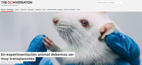 imagen articulo